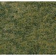 1872 Wildgrasmatte Bergwiese Thumbnail 1