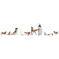 45715 Hunde und Katzen Thumbnail 1