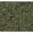 50200 Moorboden-Gras 100 g, Beutel verschliessbar Thumbnail 1