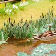 14608 Laser-Cut minis "Schilf", 16 Pflanzen Thumbnail 1
