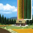 7219 Kornfeld, 80 x 80 cm Thumbnail 1