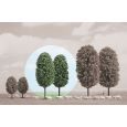 6052 Laubbäume, 80 mm hoch (2 Stück) Thumbnail 1