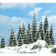6466 Schneetannen, 60 bis 135 mm hoch (20 Stück) Thumbnail 1