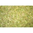 00406 Natur+ Wiesenmatte Feld (62,62 € € á 1m²) Thumbnail 1