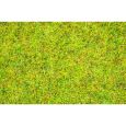 08151 Streugras Sommerwiese, 120 g Thumbnail 1