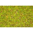 08155 Streugras Blumenwiese, 120 g Thumbnail 1