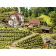 66712 Weingut "Hauser-Bühler" Thumbnail 4