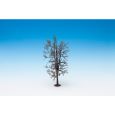22020 Baumrohling "Linde" Thumbnail 1