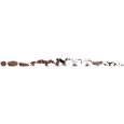 15775 Vögel Thumbnail 1