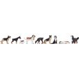 15717 Hunde Thumbnail 1