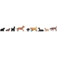 15719 Hunde Thumbnail 1