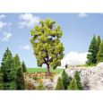 21781 Linde, 18,5 cm hoch Thumbnail 1