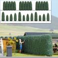 1270 Lebensbäume/Thujen Thumbnail 1