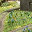 1271 Sommerwiese Thumbnail 1