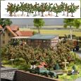 6620 Apfelplantage Thumbnail 1