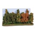 2000 Herbstwald, 10 Bäume 10-14 cm Thumbnail 1