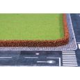 1755 Berberitzenhecken 25 x 7 mm, je 50 cm lang (2 Stück) Thumbnail 1