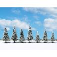 25087 Schneetannen 8-12 cm hoch (7 Stück) Thumbnail 2