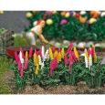9793 Stauden Zierlupinen (8 Stauden) Thumbnail 2