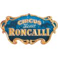 57142 Start-Set mit Bettung Güterzug "Roncalli" R/C Thumbnail 5