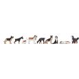36717 Hunde Thumbnail 1