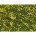07255 Bodendecker-Foliage Wiese gelb (12 x 18 cm) Thumbnail 1