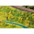 07255 Bodendecker-Foliage Wiese gelb (12 x 18 cm) Thumbnail 6