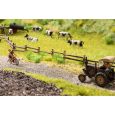 60773 Vegetations-Starterset Am Wegesrand Thumbnail 2