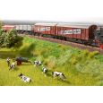 60775 Vegetations-Starterset Bahndamm Thumbnail 2