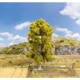 181571 Birke (180 mm hoch) Thumbnail 1