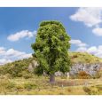 181573 Eiche (180 mm hoch) Thumbnail 1