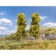 181574 2 Birken (180 mm hoch) Thumbnail 1