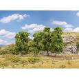 181575 4 Laubbäume (90 - 110 mm hoch) Thumbnail 1