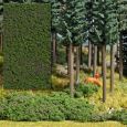 7348 Foliage Waldheidelbeeren Thumbnail 1