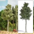3798 Waldbuche 170 mm H0 Thumbnail 1