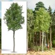 3797 Waldlinde 170 mm H0 Thumbnail 1