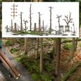 1852 Totholz-Set Thumbnail 1