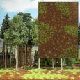 1321 Sommerlicher Waldboden Thumbnail 1