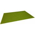 00008 Mini-Grasmatte "Blumenwiese" 45 x 30 cm Thumbnail 1