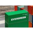 182004 20' Container EVERGREEN Thumbnail 2