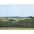42516 Hintergrund Wolkenstein/Erzgebirge, 8-teilig Thumbnail 2