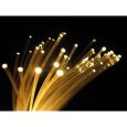 50188 0,5mm LWL Lichtwellenleiter Lichtleiter Glasfaserkabel Lichtfaser 2m Thumbnail 2