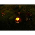 50003 Beleuchtetes Lagerfeuer Thumbnail 2