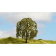 20115 Trauerweide, 15 cm hoch Thumbnail 2