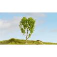 20125 Moorbirke, 21 cm hoch Thumbnail 2