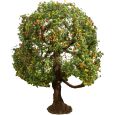 20145 Apfelbaum, 8 cm hoch Thumbnail 1