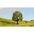 20145 Apfelbaum, 8 cm hoch Thumbnail 2