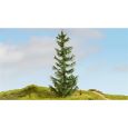 20191 Fichte, 22 cm hoch Thumbnail 2