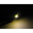 50117 FSB-1 LED Hausbeleuchtung Führerstandbeleuchtung, warmweiß (10 Stück) Thumbnail 2