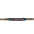 40587 N-E-Lok BR 485, BLS, Ep.VI, DC Sound Thumbnail 6